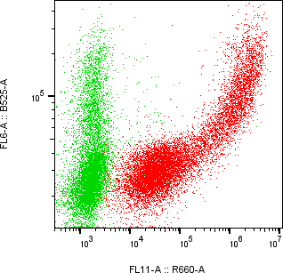 Rabbit-anti JAM3 monoclonal antibody