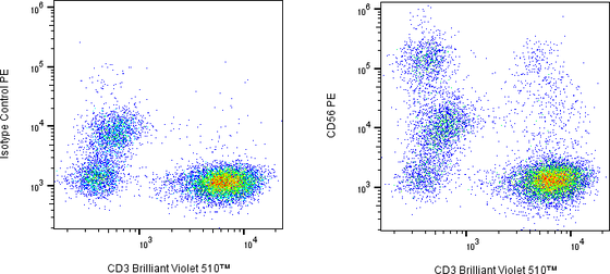Rabbit-anti NCAM1 monoclonal antibody