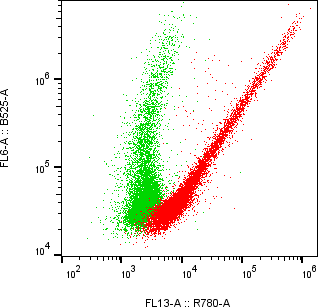 Rabbit-anti EPOR monoclonal antibody