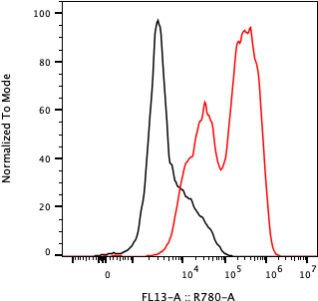 Rabbit-anti CGB5 monoclonal antibody