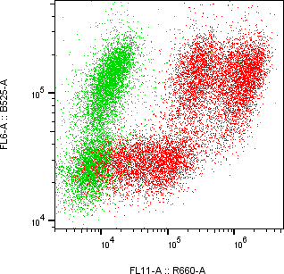 Rabbit-anti CSH2 monoclonal antibody