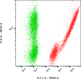 Rabbit-anti ERBB4 monoclonal antibody