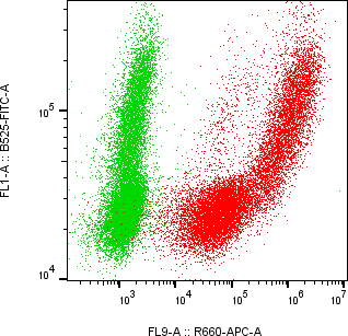 Rabbit-anti APOM monoclonal antibody