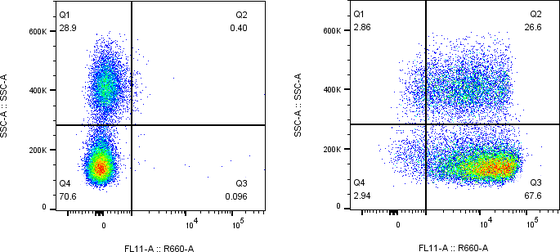 Rabbit-anti CD46 monoclonal antibody