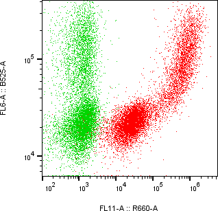 Rabbit-anti CFHR2 monoclonal antibody