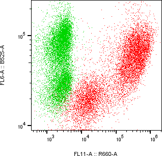 Rabbit-anti AHSG monoclonal antibody