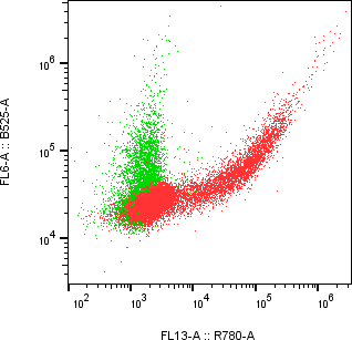 Rabbit-anti KIR2DL1 monoclonal antibody