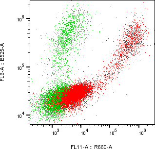 Rabbit-anti MUCL1 monoclonal antibody