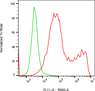 Rabbit-anti LRRN1 monoclonal antibody