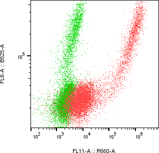Rabbit-anti TREML2 monoclonal antibody