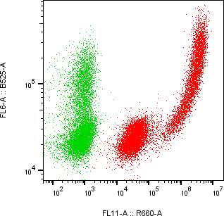 Rabbit-anti ICOSLG monoclonal antibody