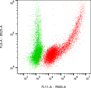 Rabbit-anti EPGN monoclonal antibody
