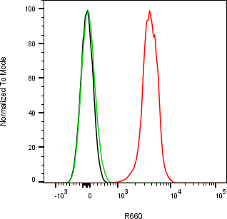 Rabbit-anti SPARC monoclonal antibody