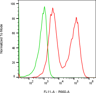 Rabbit-anti CDH17 monoclonal antibody