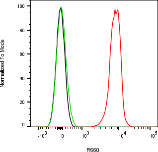 Rabbit-anti CST7 monoclonal antibody