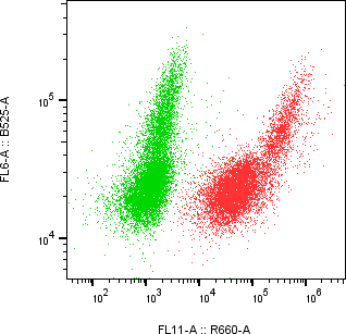 Rabbit-anti CEACAM6 monoclonal antibody