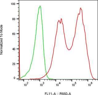 Rabbit-anti LCN1 monoclonal antibody