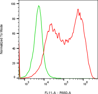 Rabbit-anti EPYC monoclonal antibody