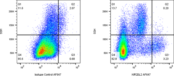 Rabbit-anti KIR2DL2 monoclonal antibody