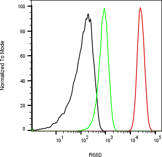 Rabbit-anti BPIFA2 monoclonal antibody