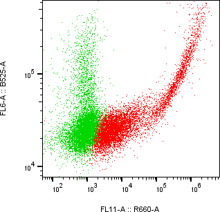 Rabbit-anti PDCD1LG2 monoclonal antibody