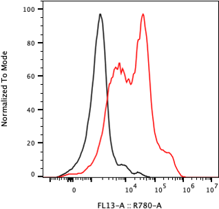 Rabbit-anti KIR2DL2 monoclonal antibody