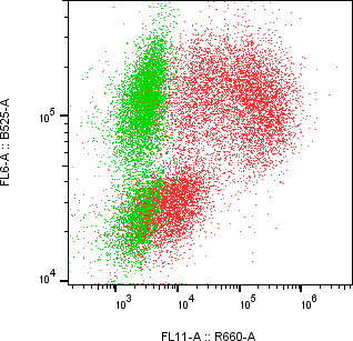 Rabbit-anti CD68 monoclonal antibody