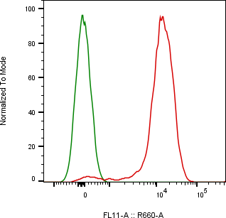 Rabbit-anti CD6 monoclonal antibody