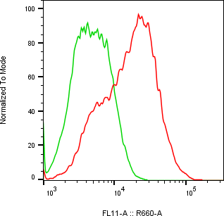 Rabbit-anti CCL23 monoclonal antibody