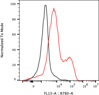 Rabbit-anti TPBG monoclonal antibody