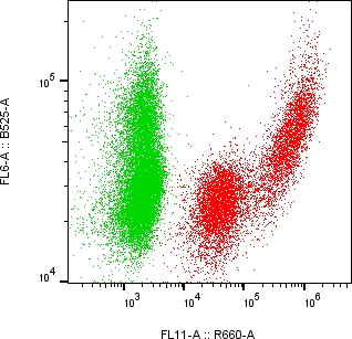 Rabbit-anti PPY monoclonal antibody