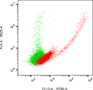 Rabbit-anti KIRREL1 monoclonal antibody