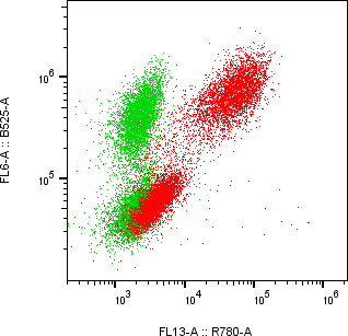 Rabbit-anti GH1 monoclonal antibody