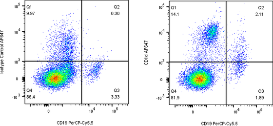 Rabbit-anti CD1D monoclonal antibody