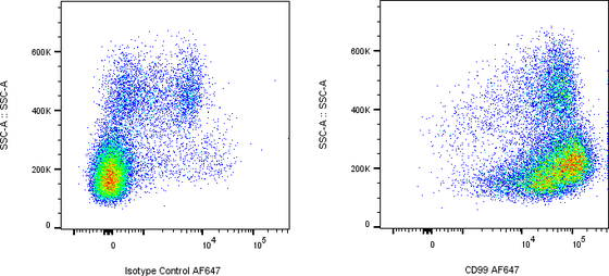 Rabbit-anti CD99 monoclonal antibody