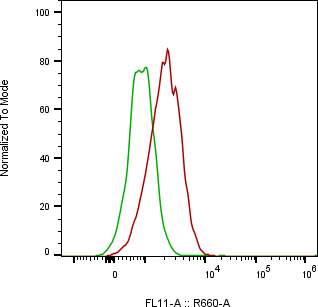Rabbit-anti IL13RA1 monoclonal antibody