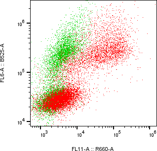 Rabbit-anti LCN15 monoclonal antibody