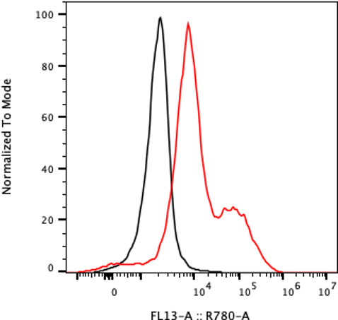 Rabbit-anti SDC1 monoclonal antibody