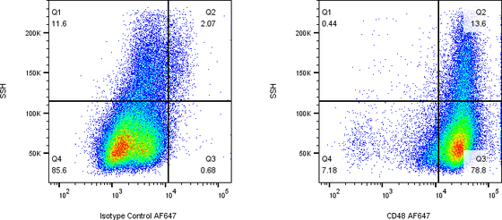 Rabbit-anti CD48 monoclonal antibody
