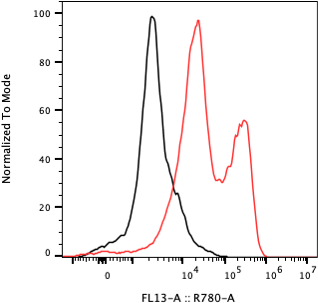 Rabbit-anti CGB7 monoclonal antibody