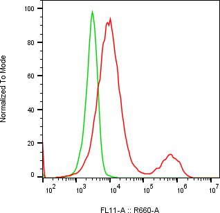 Rabbit-anti CLEC3B monoclonal antibody