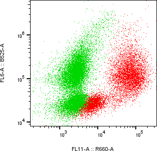 Rabbit-anti IL21R monoclonal antibody