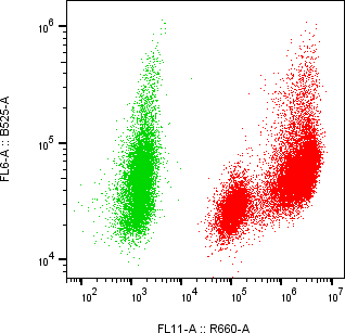 Rabbit-anti PI3 monoclonal antibody