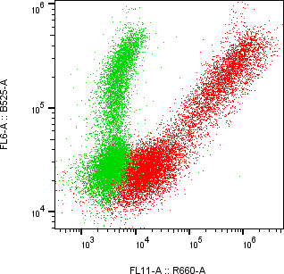 Rabbit-anti SERPINI2 monoclonal antibody