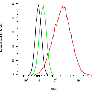 Rabbit-anti COL3A1 monoclonal antibody