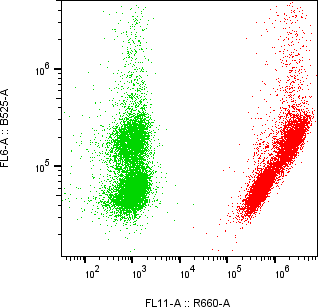 Rabbit-anti TIMP1 monoclonal antibody