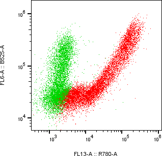 Rabbit-anti C1QTNF1 monoclonal antibody