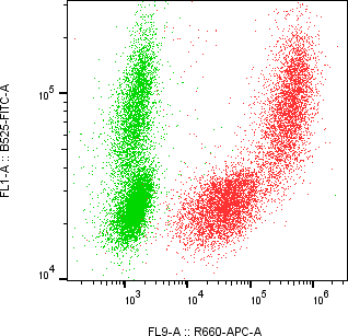 Rabbit-anti REG1A monoclonal antibody
