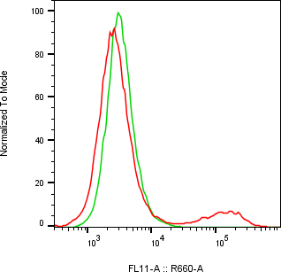 Rabbit-anti CDH3 monoclonal antibody