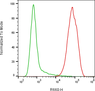 Rabbit-anti AXL monoclonal antibody
